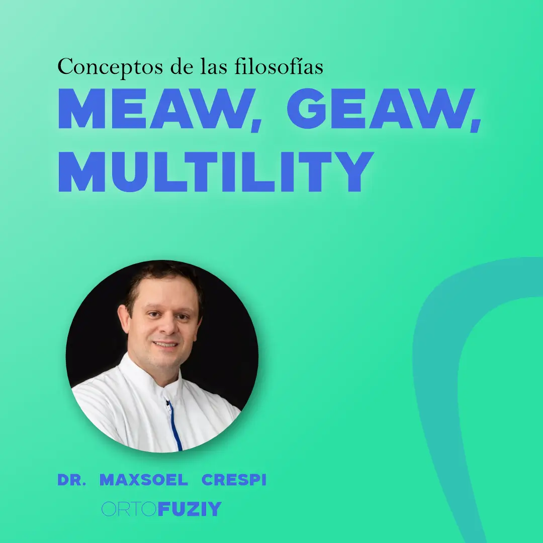 Conceptos de las Filosofías: MEAW, GEAW, MULTILITY